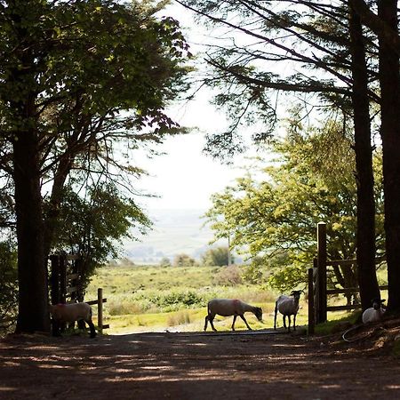 Wheal Tor Hotel & Glamping Liskeard Zewnętrze zdjęcie
