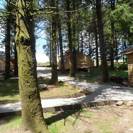 Wheal Tor Hotel & Glamping Liskeard Zewnętrze zdjęcie