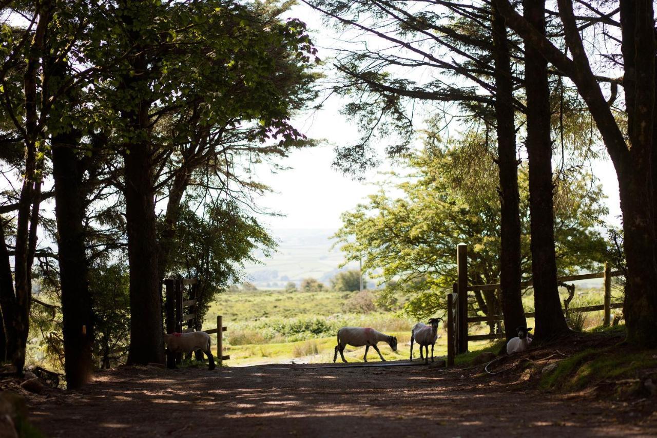 Wheal Tor Hotel & Glamping Liskeard Zewnętrze zdjęcie