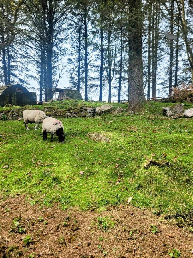 Wheal Tor Hotel & Glamping Liskeard Zewnętrze zdjęcie