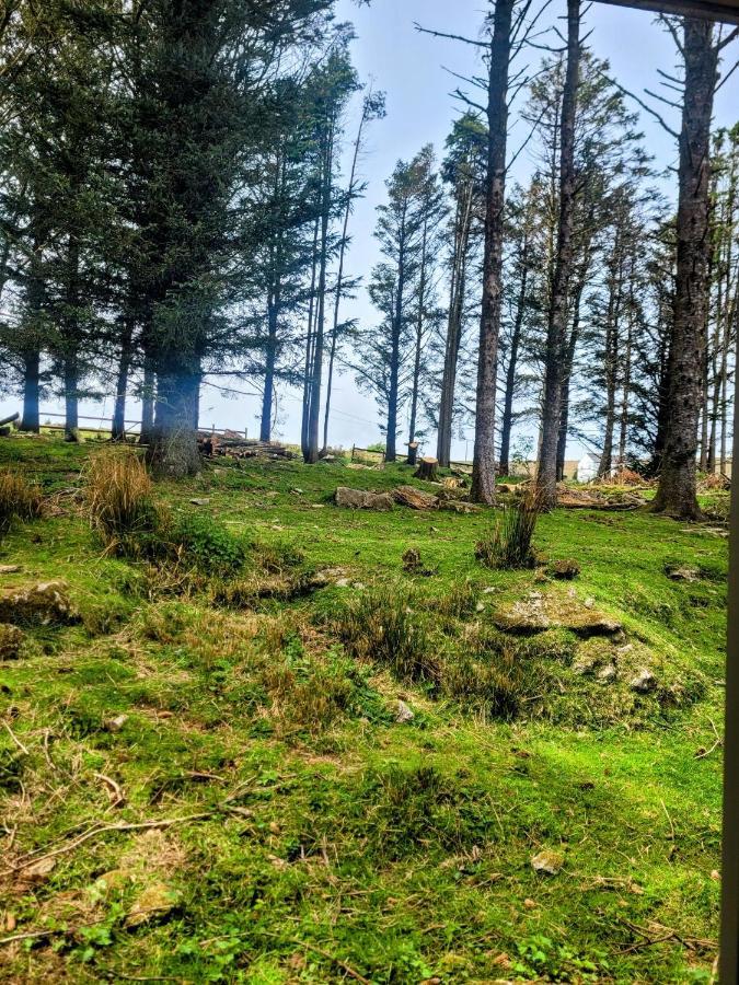 Wheal Tor Hotel & Glamping Liskeard Zewnętrze zdjęcie